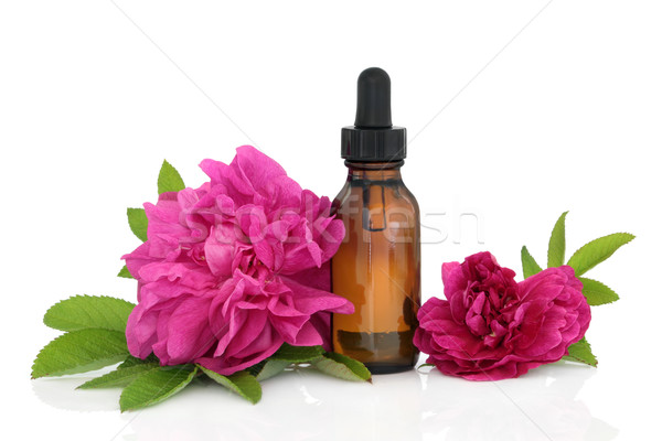 Rosa flor essência flores aromaterapia Foto stock © marilyna