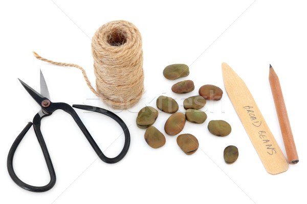 Semeadura feijão sementes semente equipamento corda Foto stock © marilyna