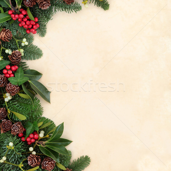 Winter Greenery Border Stock photo © marilyna