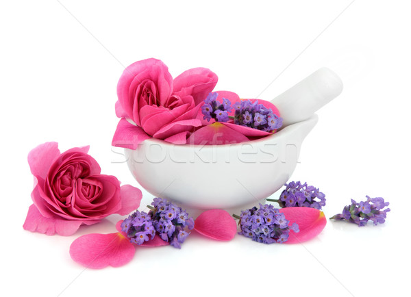 Rosa lavanda fiori erbe porcellana isolato Foto d'archivio © marilyna