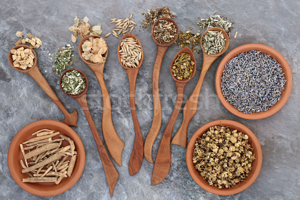 Healing Herbs for Sleeping Disorders Stock photo © marilyna