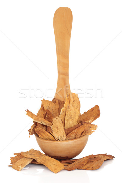 Astragalus Root Stock photo © marilyna