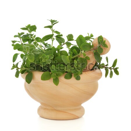 Sage Herb Leaf Sprigs Stock photo © marilyna