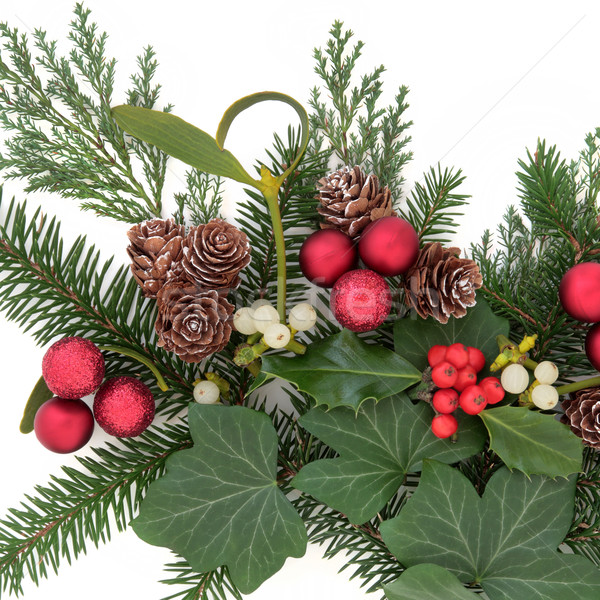 Foto d'archivio: Natale · decorazione · floreale · rosso · ivy · vischio