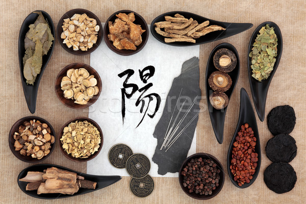Chinois phytothérapie acupuncture aiguilles symbole bon [[stock_photo]] © marilyna