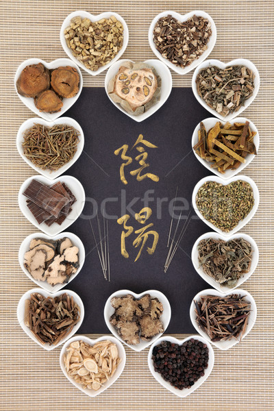 Yin yang Çin tıbbı Çin akupunktur iğneler Stok fotoğraf © marilyna