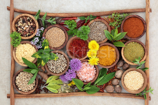 Herb and Spice Seasoning Stock photo © marilyna