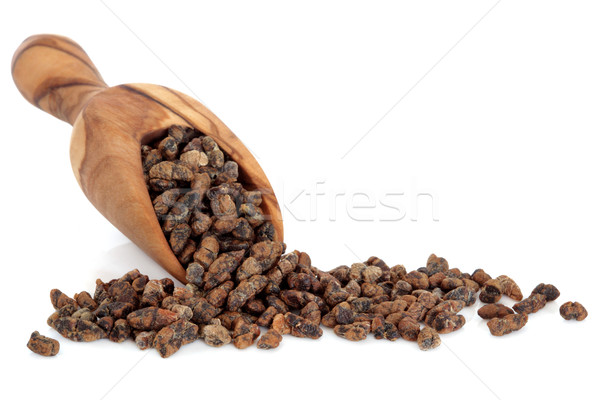Cardamomo sementi oliva legno raccogliere bianco Foto d'archivio © marilyna