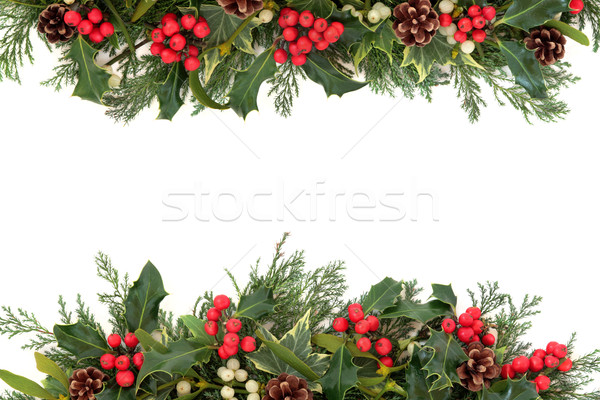 Christmas Holly Border stock photo © marilyna (#3456650) | Stockfresh