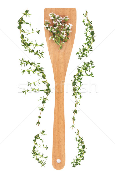 Thyme Herb  Stock photo © marilyna