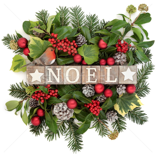 Festive Noel Decoration Stock photo © marilyna