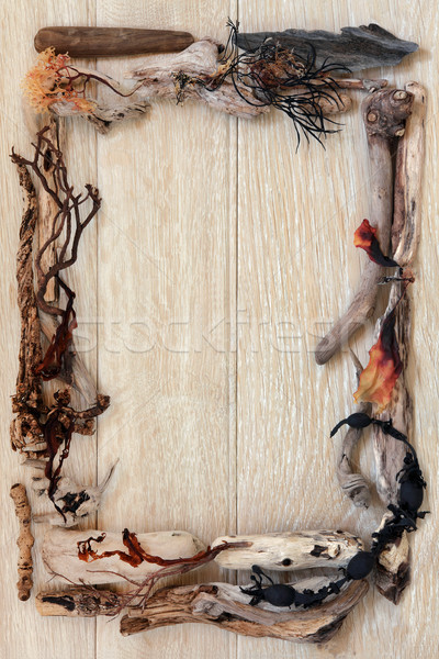 Driftwood alga abstract frontieră vechi stejar Imagine de stoc © marilyna