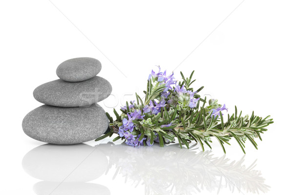 Rosemary Herbal Therapy Stock photo © marilyna