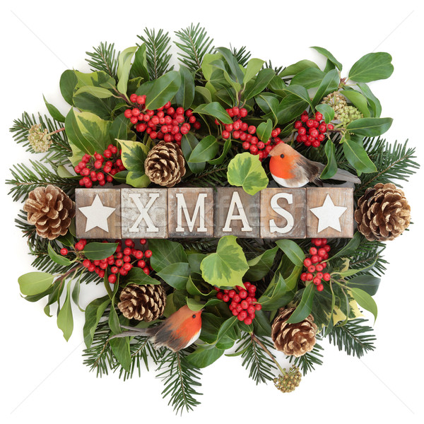 Xmas Sign and Winter Flora   Stock photo © marilyna