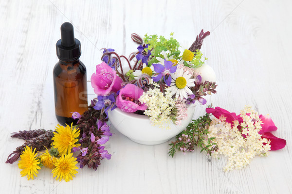 Naturopathic Flowers and Herbs Stock photo © marilyna