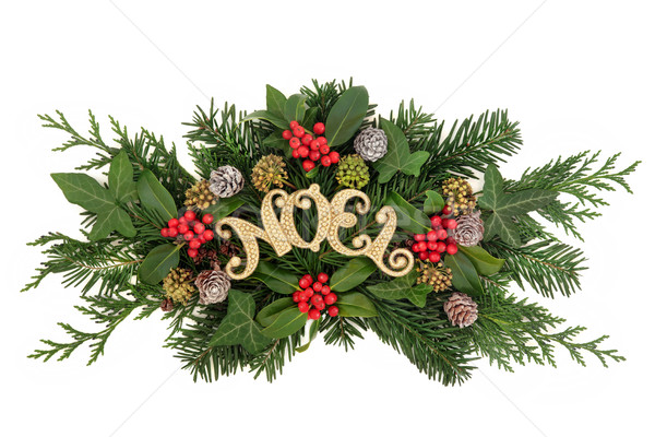 Gold Noel Floral Decoration Stock photo © marilyna