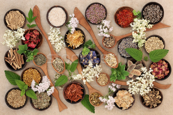 Herbal Medicine Selection Stock photo © marilyna