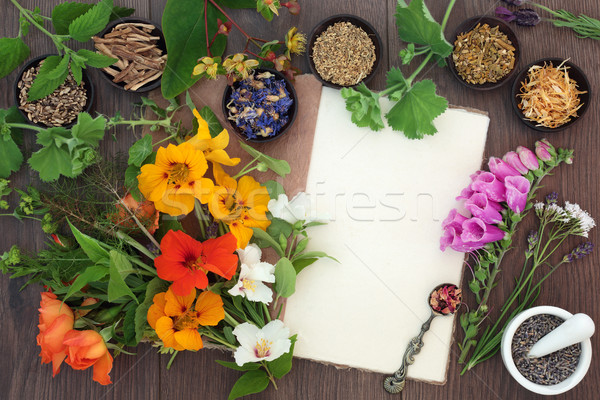 Medicinal Herb and Flower Selection Stock photo © marilyna