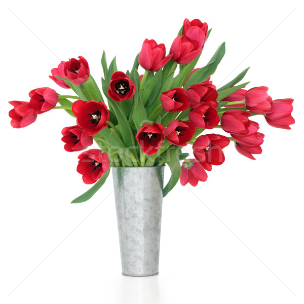 Fleurs du printemps rouge tulipe fleurs aluminium vase Photo stock © marilyna