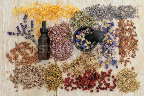 Alternative Medizin Kräutermedizin benutzt abstrakten Natur Stock foto © marilyna