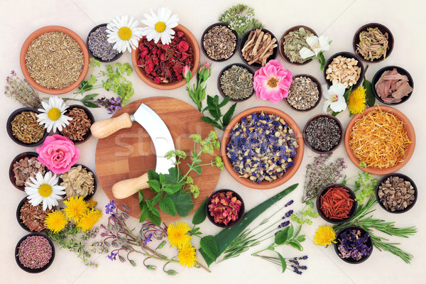 Natural Flower and Herb Medicine Stock photo © marilyna