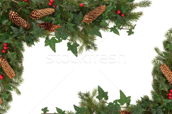 Christmas Border Stock photo © marilyna