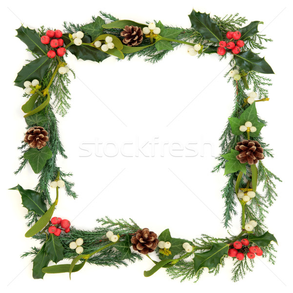 Festive Border Stock photo © marilyna