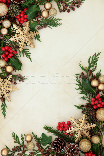 Natale decorativo confine abstract oro fiocco di neve Foto d'archivio © marilyna