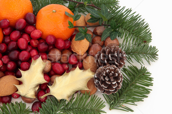 Christmas Fruit, Nuts and Fauna Stock photo © marilyna