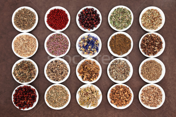 Natural Herbal Medicine Stock photo © marilyna