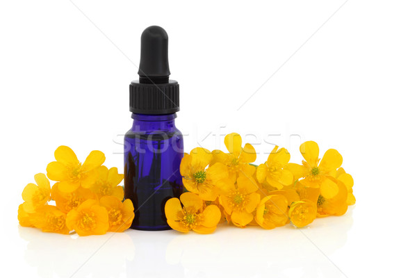 Buttercup Flower Remedy Stock photo © marilyna