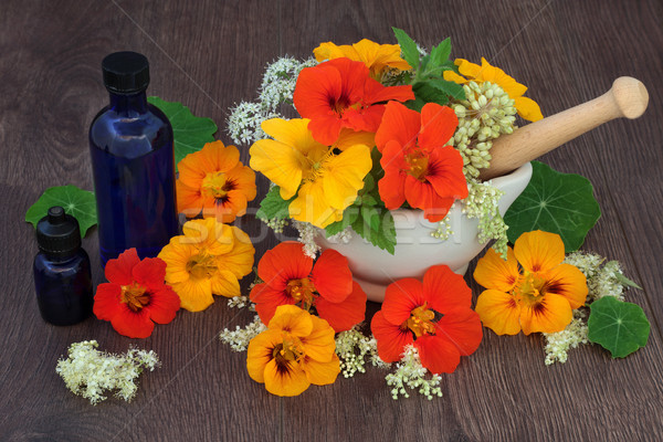 Gyógyító virágok gyógynövények használt természetes alternatív gyógymód Stock fotó © marilyna