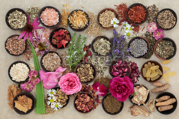 Herbs and Flowers for Skin Disorders Stock photo © marilyna