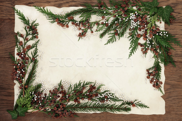 Stockfoto: Ceder · grens · abstract · zilver