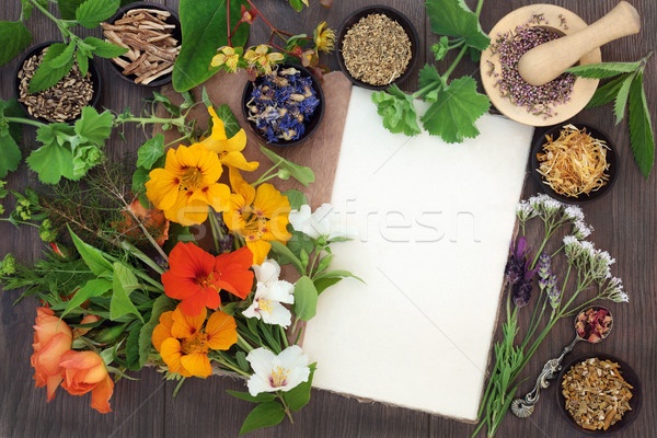 Natürlichen Alternative Medizin getrocknet frischen Blumen Kräuter Stock foto © marilyna
