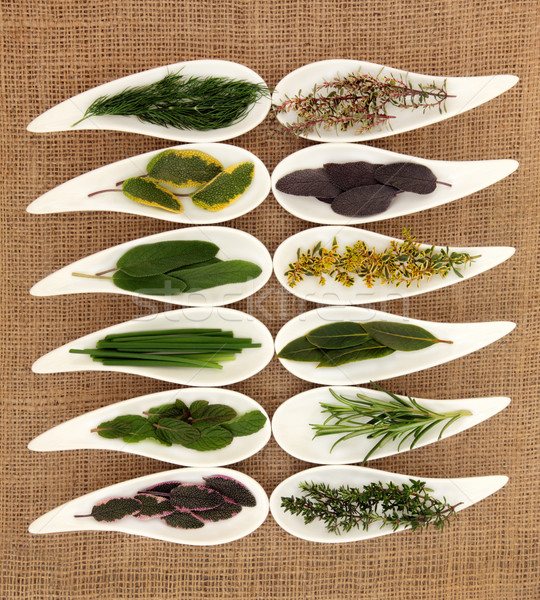 Fresh Herb Selection Stock photo © marilyna