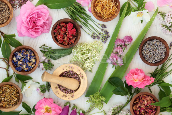 Natuurlijke alternatieve geneeskunde vers gedroogd bloemen kruiden Stockfoto © marilyna