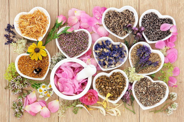 Traditionellen Kräutermedizin Blume Kraut Medizin benutzt Stock foto © marilyna