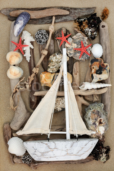 Dekoracyjny żeglarstwo łodzi streszczenie muszle driftwood Zdjęcia stock © marilyna