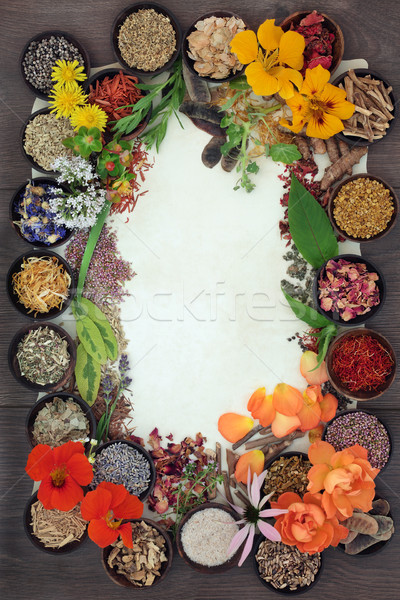 [[stock_photo]]: Phytothérapie · fraîches · séché · herbes · fleurs · frontière