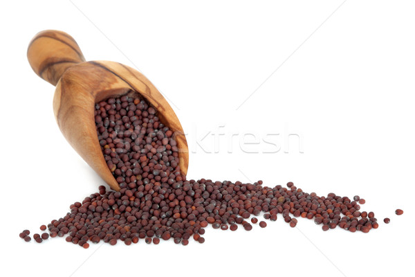 Rosolare senape sementi oliva legno raccogliere Foto d'archivio © marilyna