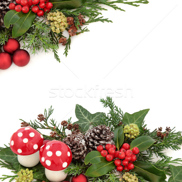 Fantezie Crăciun frontieră zbura ciupercă decoratiuni Imagine de stoc © marilyna