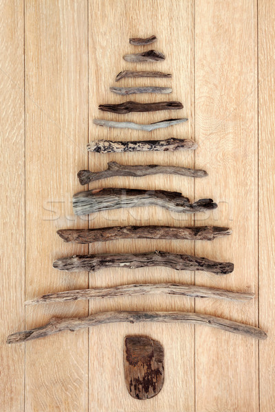 Troncos árvore carvalho madeira abstrato projeto Foto stock © marilyna