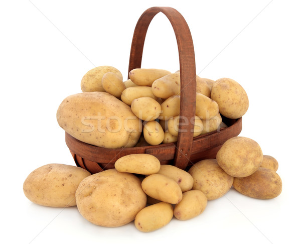 De pomme de terre nouvelle pommes de terre piper normale [[stock_photo]] © marilyna