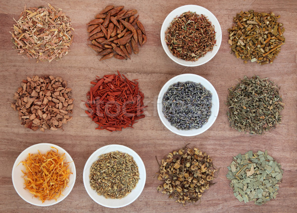 Medicinal and Magical Herbs Stock photo © marilyna
