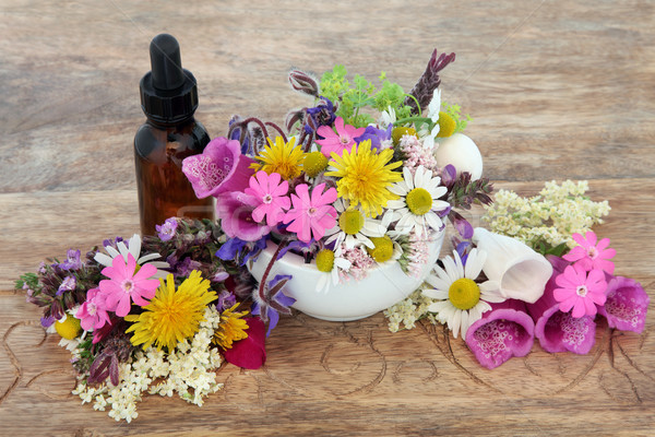 Stock photo: Herbal Medicine 