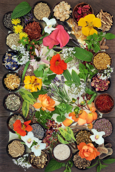Virágok gyógynövények természetgyógyászat virág gyógynövény használt Stock fotó © marilyna