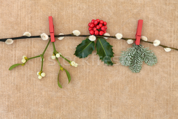 Natale flora inverno vischio impiccagione Foto d'archivio © marilyna