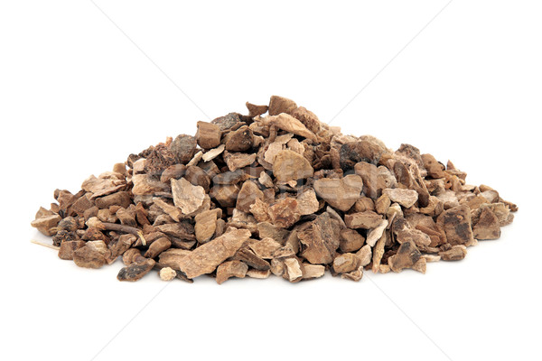 Wild Yam Root Herb Stock photo © marilyna