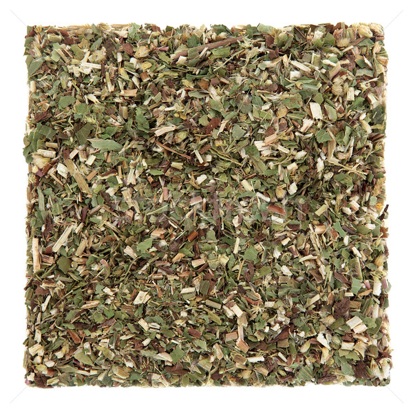 Goldenrod Herb Leaf Stock photo © marilyna